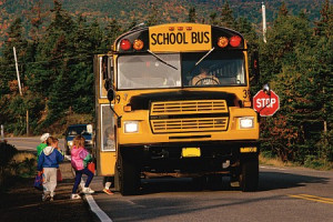 Driving Safely with School Buses and Pedestrians