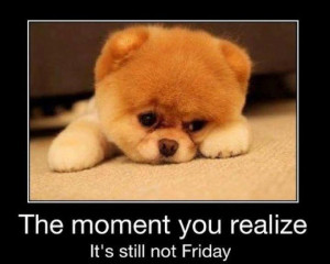 cute, dog, friday, funny, moment, puppy, quote, realize, sweet, text