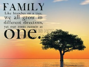 Family Trees Roots Quotes