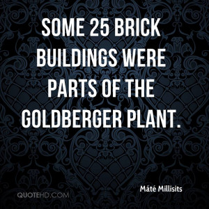 Some 25 brick buildings were parts of the Goldberger plant.