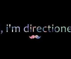 Tagged with hi i'm directioner