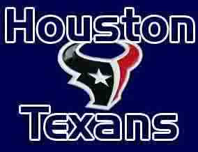 houston texans Image