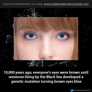 ... blue-eyed men rated blue-eyed women as more attractive compared to