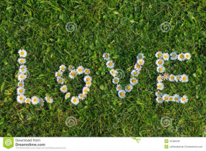 Daisy Flowers spelling Love in the grass.