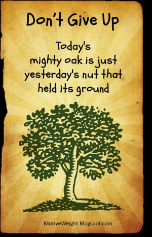 Don't give up. Today's mighty oak is yesterday's nut that held it's ...