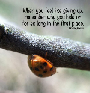 keep holding on