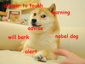 Doge Meme Alerts You To Danger Of Touching While Aggravated