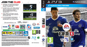 http://imageshack.us/a/img641/3286/ps3fifa13everto n.png