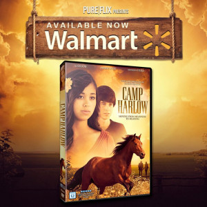 Monique Hurd - available now on DVD at Walmart - Pure Flix - Christian ...