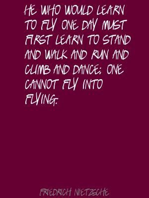 ... learn-to-fly-one-day-must-first-learn-to-stand-and-walk-and-run-and