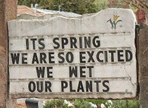 Gardening Quotes