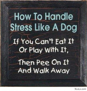 .com-funny-pictures-funny-quotes-funny-kids-quotes-and-sayings-funny ...