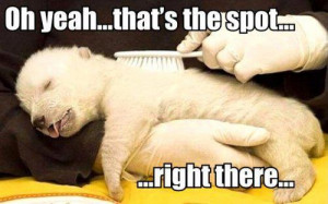 Saturday, May 19, 2012