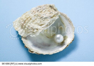 Pearl Oyster Shell