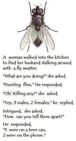 ... : Funny Jokes // Tags: Funny joke - Fly in kitchen // April, 2013