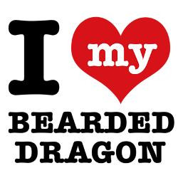 love_my_bearded_dragon_patches.jpg?height=250&width=250&padToSquare ...