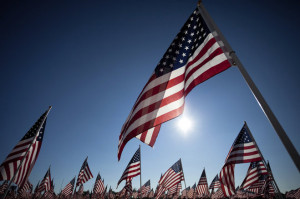 American Flag display commemorating Veteran's Day.
