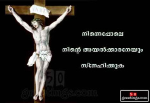 Copy the code below to your friend's scrapbook to scrap this image or ...