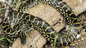 Funny Quotes Contact Dmca...