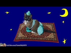 cat-dresses-up-rides-roomba.jpg
