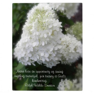 Beauty is God's Handwriting Floral Easel Plaque