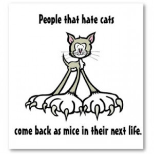 People that hate cats come back as mice in their next life