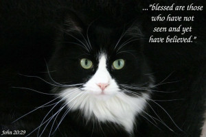 Blessed are those who Have not seen and yet have Beleived – Bible ...