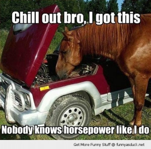 chill out bro horse power car animal funny pics pictures pic picture ...