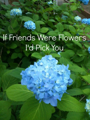 If Friends were Flowers I'd Pick You