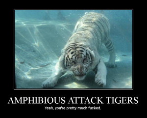 Amphibious attack tigers