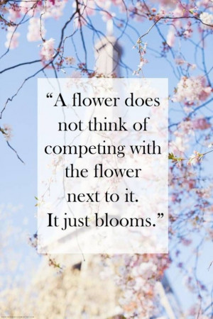 beauty, blooms, blossom, cute, flower, girl, happy, life, love, quote ...