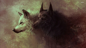 Black and white wolves wallpaper
