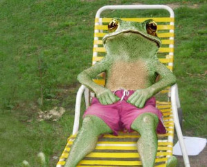 Funny Frog