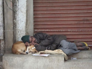 Men Sleeping with Street Dog Funny India