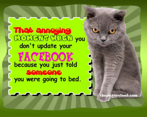 Cute Cat Pictures With Funny Sayings Aboout Facebook