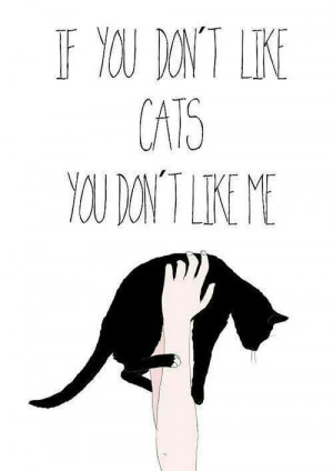 If you don't like cats...