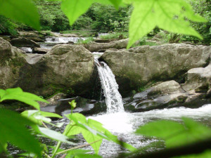 smoky mountain stream desktop and mobile wallpaper wallippo