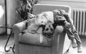 ... 1993 titles look who s talking now look who s talking now 1993