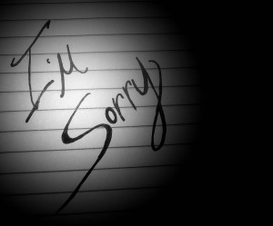 The Apology – a Cost/Benefit Analysis