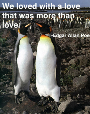 ... times are tough penguins present love quotes penguins in love quotes