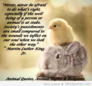 ... If The Well Being Of A Person Or Animal Is At Stake - Animal Quote
