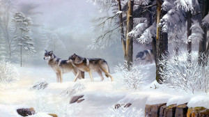 wolf-pack-in-the-snowy-forest-9675.jpg