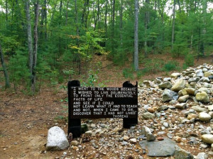 Walden Pond: Thoreau quote