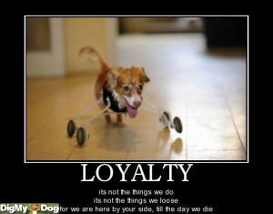 loyalty - dogs