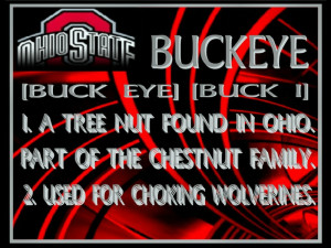 BUCKEYES DEFINITION BUCKEYE DEFINITION Sports Football HD Wallpaper