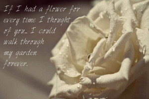 The White Rose Love Quote by T-Jackification