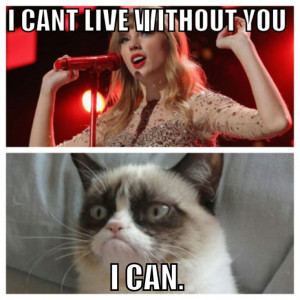 Grumpy Cat And Taylor Swift