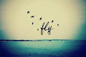 beautiful, fashion, fly, girl, live free, love, quote, young