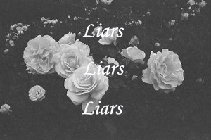 black and white, flower, flowers, liar, liars, quote, rose, roses ...