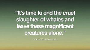 Quote by Paul McCartney on Vegetarianism, Life and Love It's time to ...